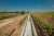 thumbnail-image-1190837